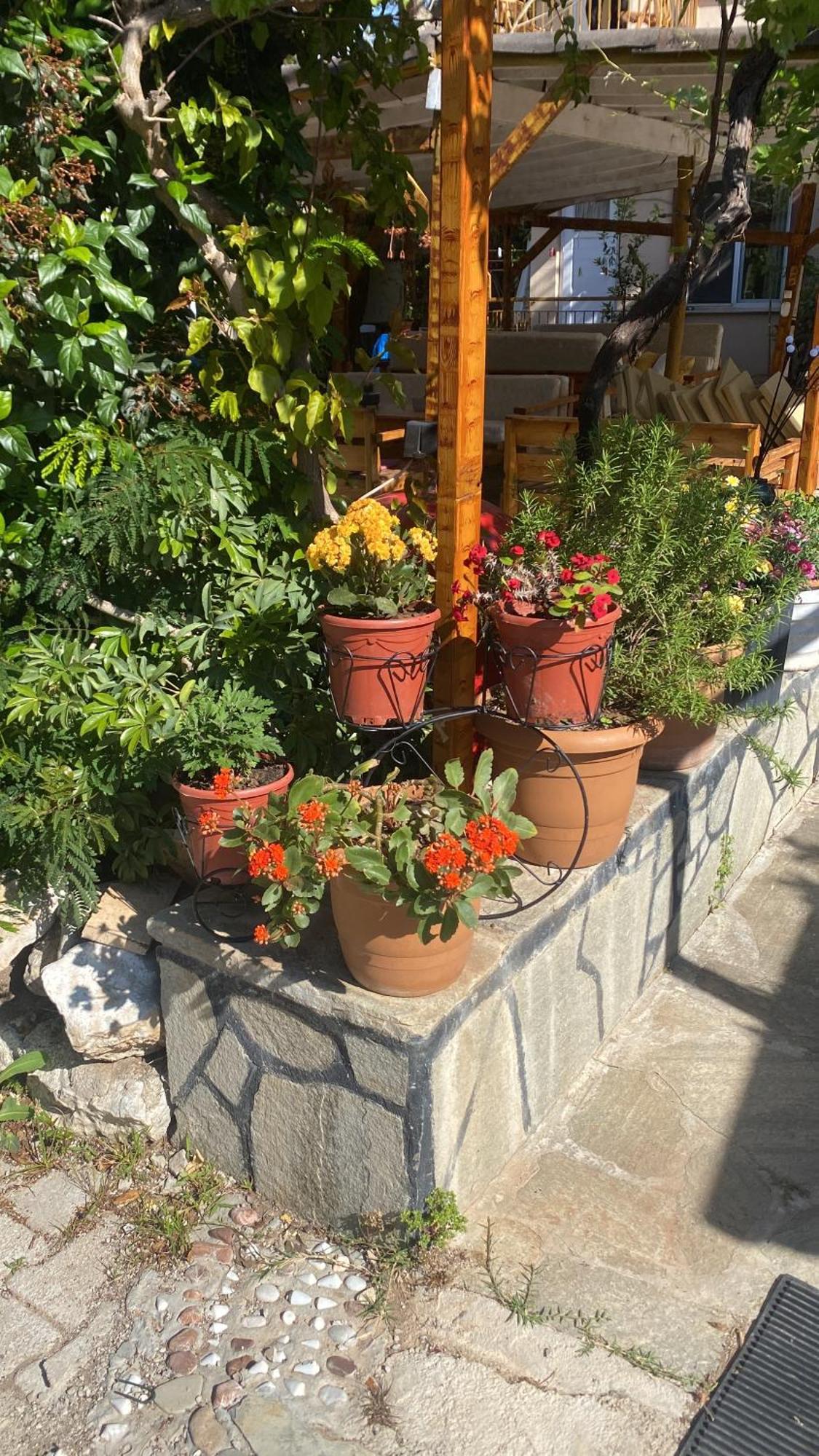 Rosemary Pansiyon Çıralı Extérieur photo